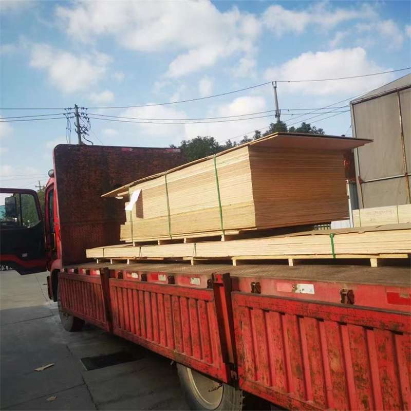 塔城到河北物流公司——一站式服务，让货运更便捷